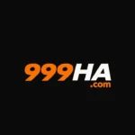 999HA GAME
